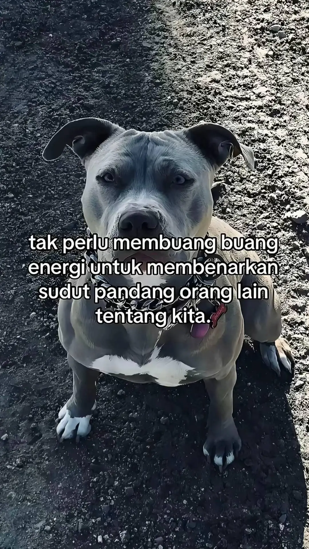 #u4 