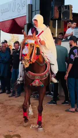يسلم الرايس وحصانه 😍🤚🏻#بسم_الله_ماشاء_الله 😍