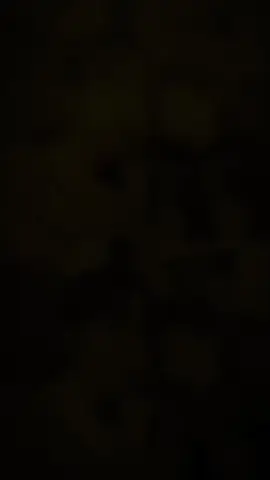 : rồi mời đoàn mình sắm sửa váy áo lên đồ ăn cưới anh Thịnh với nhỏ Hoa lun #desiretheseries #hoavinh #thinhthieudu #phimboylove #blchina #ptln_ #yqmr_jshz #kaytlyn_team #trending #xuhuongedit #xuhuongtiktok #viral #fyp 