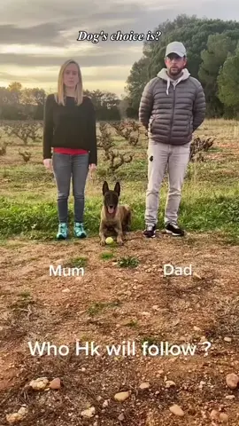 Mom or dad? Who does your dog love more? #dog #dogsoftiktok #trend #dogchallenge #pet #Love #fyp #usa 