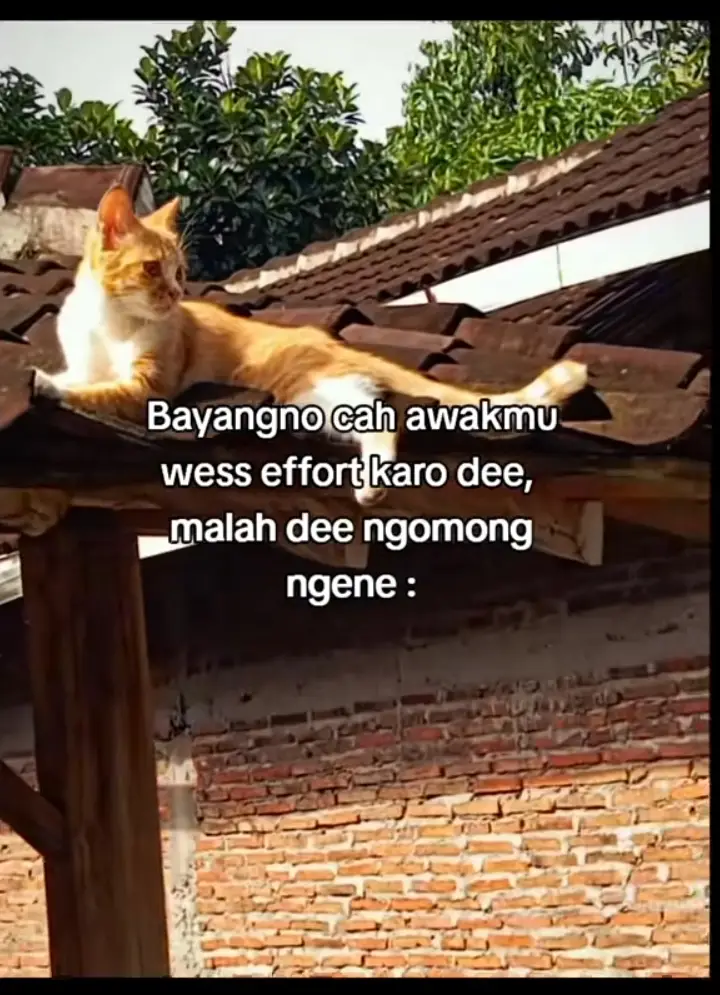 bayangno wong e ra iso nompo koe cah#storywa #fyp #foryou 