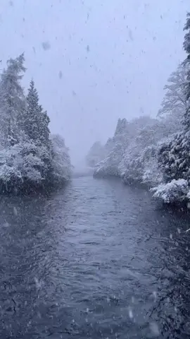 #video #aesthetic #atmosphere #эстетика #красота #атмосфера #vibe #вайб #forest #природа #снег #снегопад #зима #зимнийлес #winter  Зима — самое холодное время года, наступающее за осенью и сменяющееся весной. 