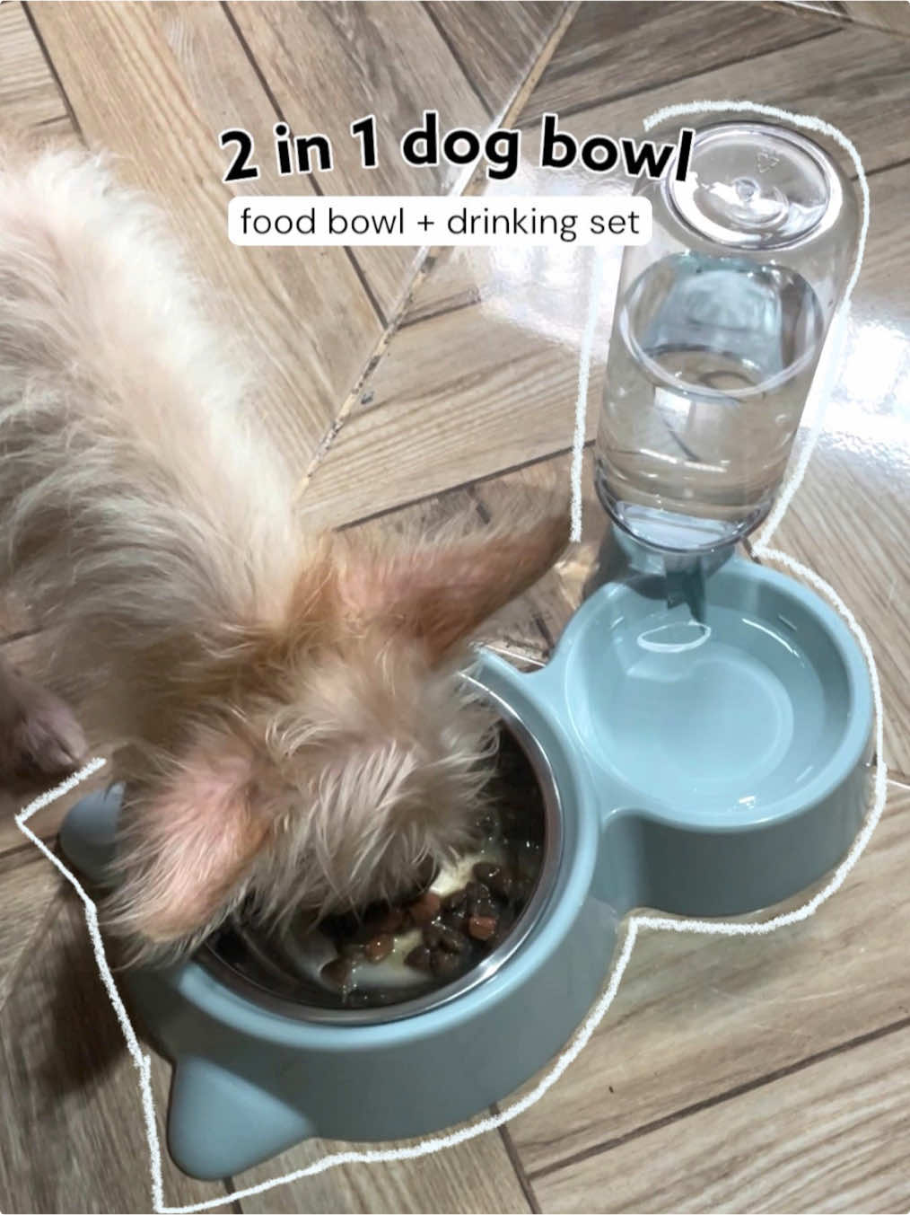 2 in 1 food bowl and drinking set, buy na for your fur babies 🩵              #dogmom #dogfeeding #dogbowl  #dogwater #foodfordog 