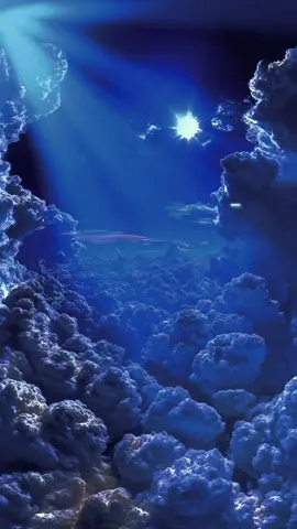 #moviestowatch #whattowatch #مصر #المغرب #اليمن #الجزائر #فلسطين_لبنان_سوريا_اليمن_مورتانيا 