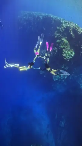 #freediving #freedive #ocean #friendship 