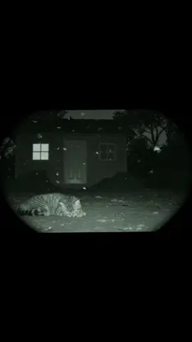 #cat #crocodile #gatos 