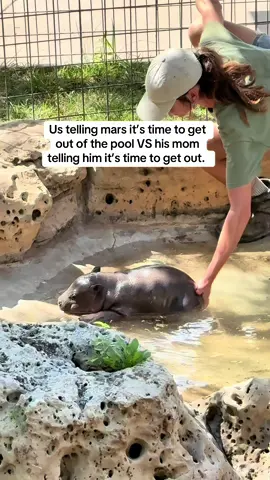 Better listen to mom! #babyhippo #hippobaby #marsthehippo 
