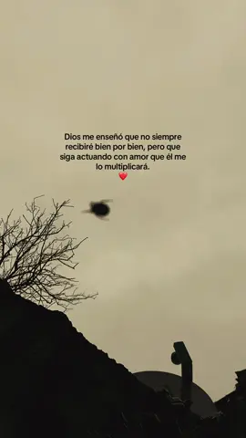 #fyppppppppppppppppppppppp #frases #paratii #amor #a #Dios ✨