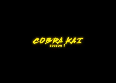 best season of cobra kai | #cobrakai #cobrakaiedit #migueldiaz #johnnylawrence #elimoskowitz #daniellarusso #cobrakaiseason1 
