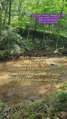Save this for a future energetic cleanse ✨️ #witchtok #witchtokrising #elementalwitch #emotionalalchemy #igniteintent 