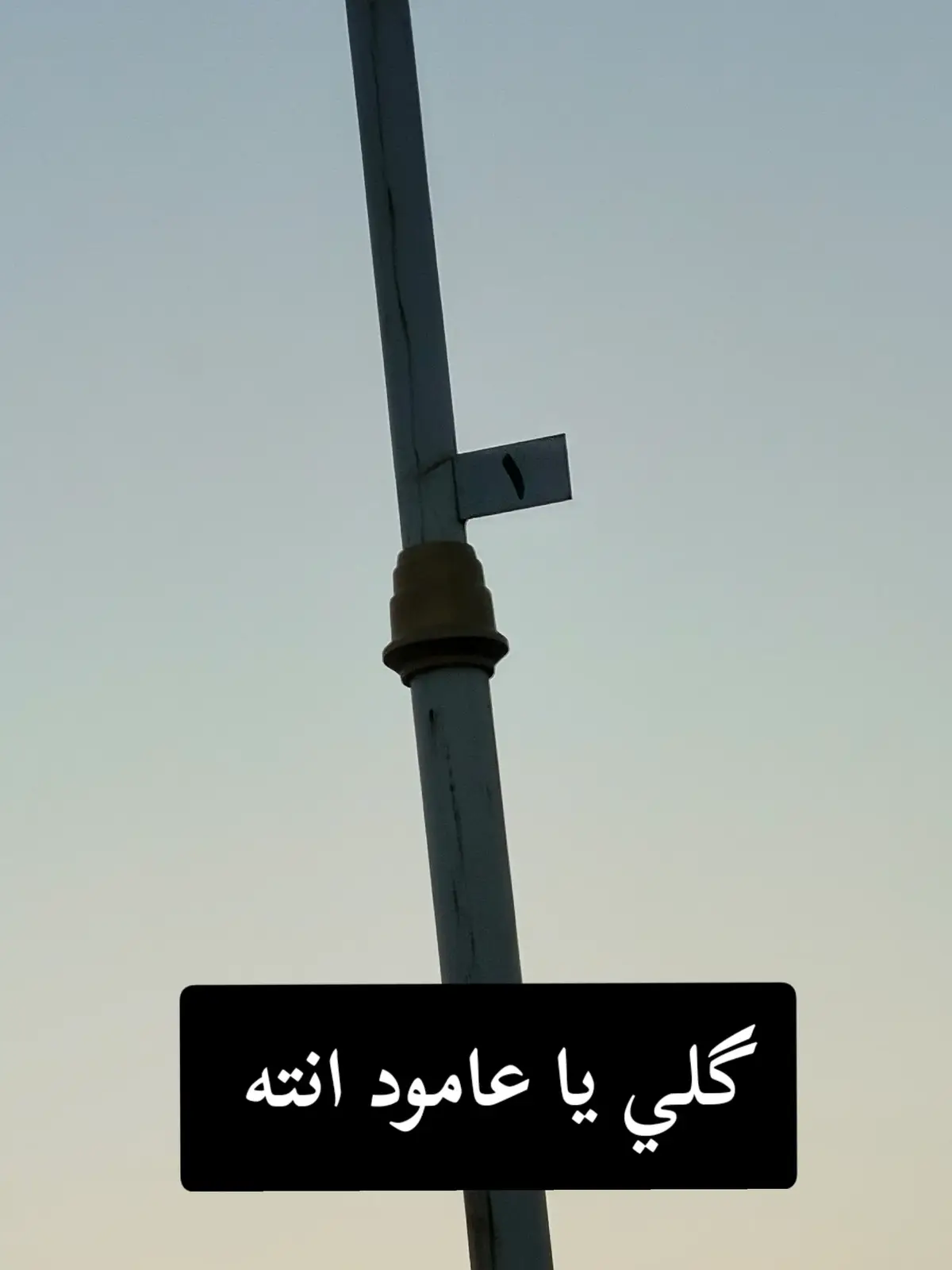 مشايت ابا عبدلله الحسين عليه السلام #ياحسين #كربلاء #البصرة #الناصريه #بغداد #السماوه #العماره #واسط #الديوانية 