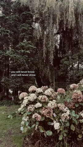 #sadvibes #sadstory #sadending #galaubrutal #galaustory #galauvibes #trending #fyppppppppppppppppppppppp 