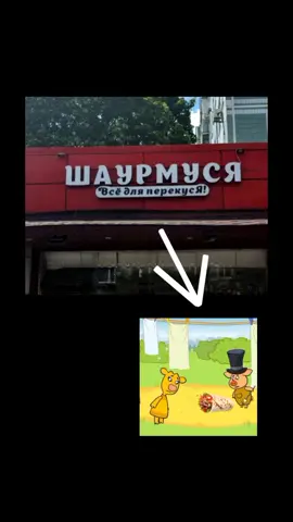 #Оранжеваякорова ШаурМуся - всё для перекусЯ, мяу)))