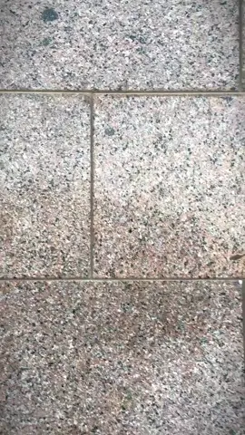 Madina ma ha 🥺#100k #1millionaudition #pyfツ #foryoupage #islamic_video 