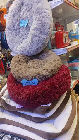 Peatonal Alberdi 171, La Mascoteria  Petshop #mascotas #saltacapital #camaantiestressperros #salta #petshop #camanido 