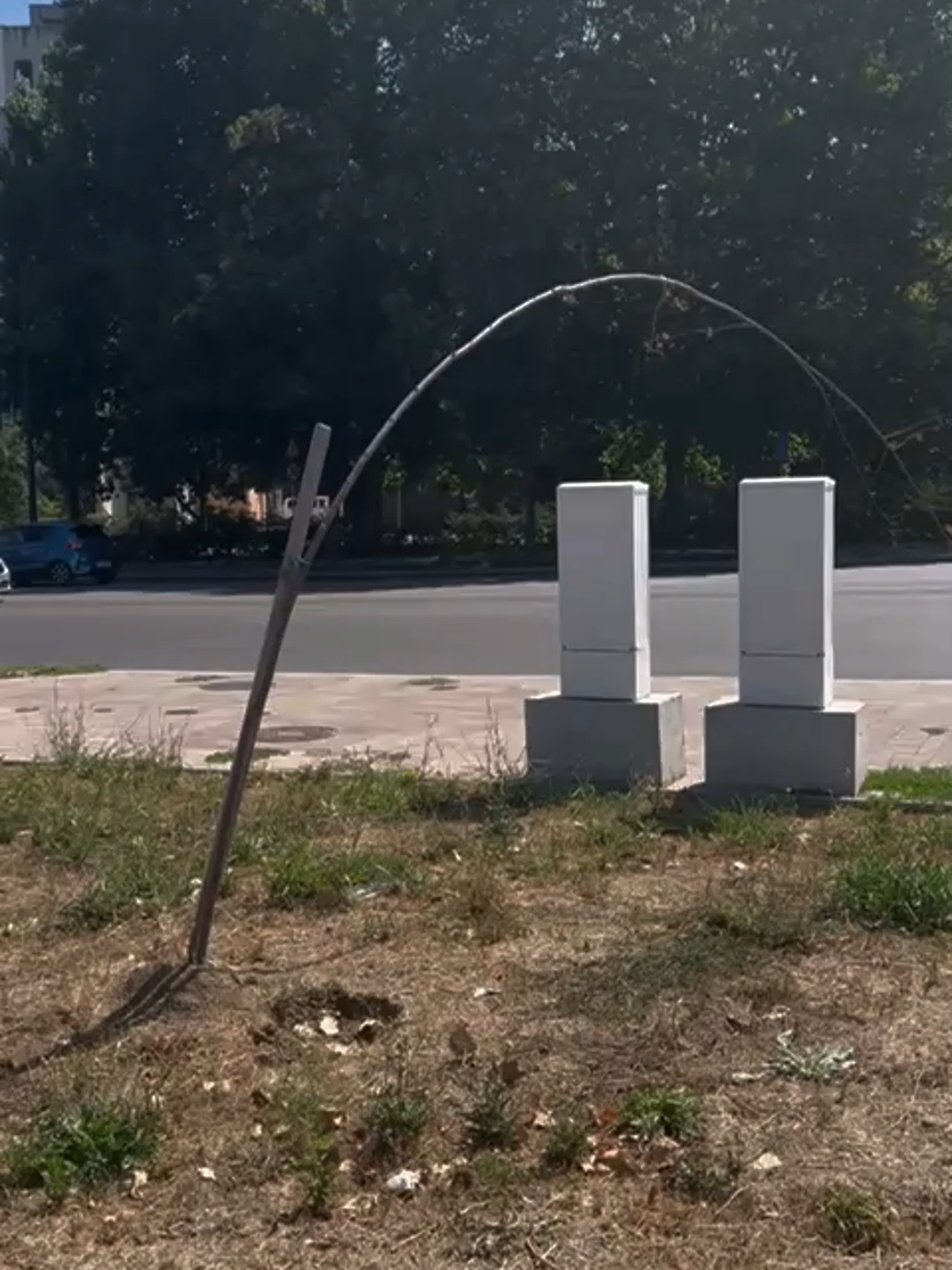 Regenerare urbană, varianta Constanța: copaci plantați cu țăruși, dar uitați de tot. Zeci de puieți uscați pe Șoseaua Mangaliei, gazon ars, doar buruienile mai trăiesc. Pe hârtie, verde. În realitate? Deșert cu țăruși. #Constanta #RegenerareUrbana #CopaciUscati #AdministratieLocala #ObservatorConstanța
