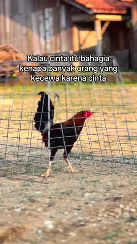 Lecccoh baaaaaa#fypシ゚ #masukberandafyp #katakata #maduravirall #bismillahfyp 