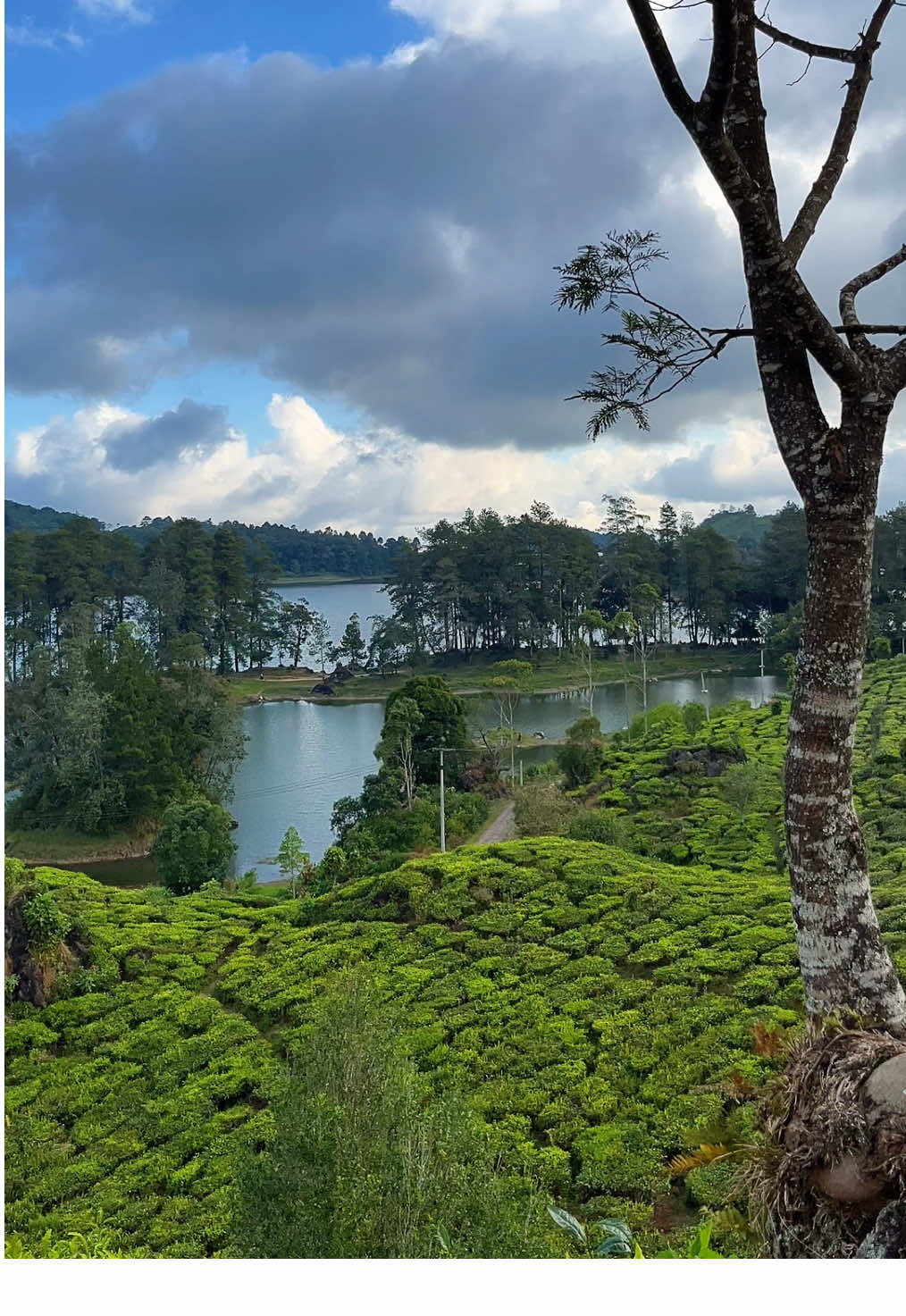 Syahdu bngt tempatnya 🍃 #ciwidey #situpatenggang #bandung 