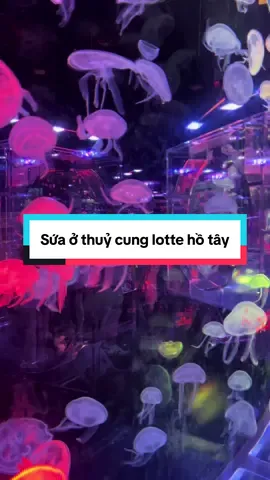 Sứa nè. Đẹp quá mà chỉ tại mình quay xấu😅 #lotteworld #thuycunglottehanoi #thuycung #weekend #cuoituan #xuhuong 