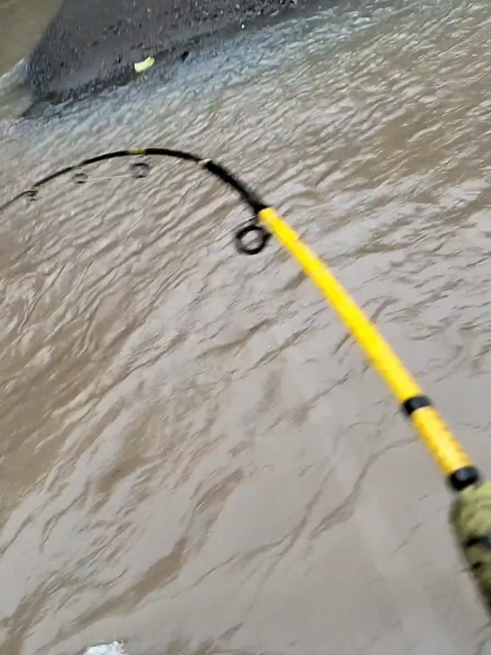 mancing sidat disungai kecil  #mancingsidat #mancingikandisungai #mancingliar #fishingsungai #spotgacor #fyppppppppppppppppppppppp #viralid 