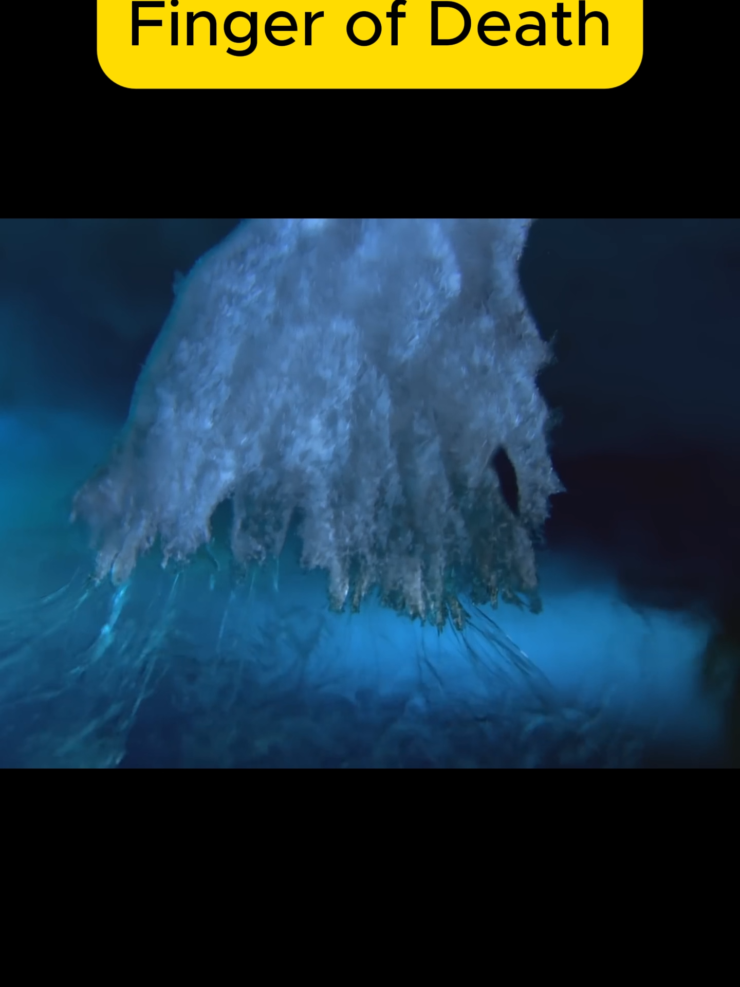 Not CGI. The phenomenon known as the Finger of Death or Brinicle forms in the Antarctic Ocean. It freezes every living creature in its path. 😱 ❄️ Not CGI – this is 100% real science from the deep! You're watching the rare and chilling phenomenon known as the Brinicle, or Finger of Death—a deadly underwater icicle that forms beneath sea ice in the Antarctic. As salty brine seeps into the ocean, it freezes everything in its path, creating a terrifying underwater frost storm. This natural phenomenon is both beautiful and lethal, freezing marine life instantly. Perfect for a chill moment before sleep, or to blow your mind during breakfast, lunch, or dinner. 🎥 Sit back and witness the power of Earth's frozen magic. 👉 Don't forget to like, share, and follow for more unreal natural wonders! #Brinicle #FingerOfDeath #NotCGI #FrozenOcean #SleepTime #WatchAtLunch #WatchBeforeSleep #BreakfastChill #DinnerWatch #NaturePhenomena #ChillScience #Top20% #ParkOfPrinces #learnwithtiktok #fyp #learnwithyoutube