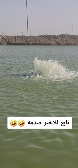 # تابعوني # لايك حلو من اديكم الحلوه # اكسبلور # الشعب الصيني ماله حل # 🤣🤣🤣🤣🤣#@حسحس @صافي : MUSTFA RADI @بارق : Muslim Aqeel @رئيس الوزراء شياع السوداني @هُدى عَادل🎀 @حسن الشمري 