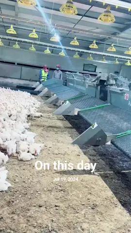 #onthisday 