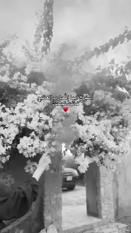 ألفْ مبروُك يقلبيِ وخيتِي ♥️ .  الفال للشهادات العُليا 🥹 . #ليبيا_الخُمس_طرابلس_fouryou_ليبيا  #yfpシforyou  #foryoupage  #الخمس 