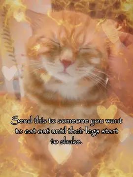 send this.... #meme #joke #relatable #catsoftiktok #fyp #rizz 