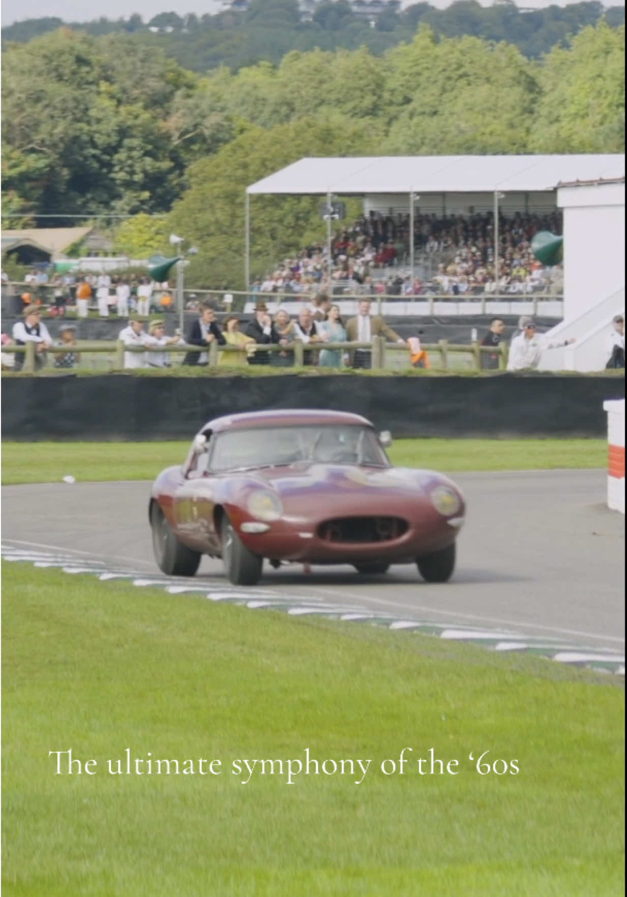 Quick, you've got just 10 seconds to pick a favourite car from the legendary RAC TT race at #GoodwoodRevival! From the stunning #Jaguar E-type to the raucous AC Cobra, there is something for everyone.  Get your tickets now to secure your trackside seat for September, when these legendary machines will go wheel-to-wheel once again, with a star-studded cast of drivers behind the wheel.