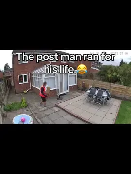 The post man ran for his life #delivery #postman #royalmail #yorkshireterrier 