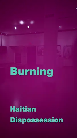 This piece was my first solo exhibition ever, at Cornell college of architecture during my Strauch Fellowship. I was focusing on Haitian representation and imaginaries while contending with American depictions of Haiti. #blackartist #caribbean #art #artist #painting #fyp 