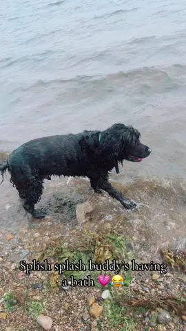 Beach days! #splash #myboy #fyppp #foryoupage❤️❤️ 