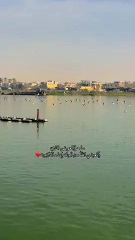 ما هوَالعوض الذي يُتعبني اللّٰه من أجله لِهذه الدَرَجه💔#الحمدلله_دائماً_وابداً😌🦋🎶 #حلاوة_اللقاء #عشوايات #بصره_بغداد_ميسان_ذي_قار_كل_المحافظات #كنيسة #كورنيش_شط_العرب 