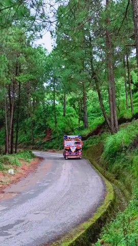 #creatorsearchinsights #fypシ゚ #foryou #foryoupage #goviral #govairalsong #tranding #keepsupporting #tiktoknepal🇳🇵 #kailali_muser 