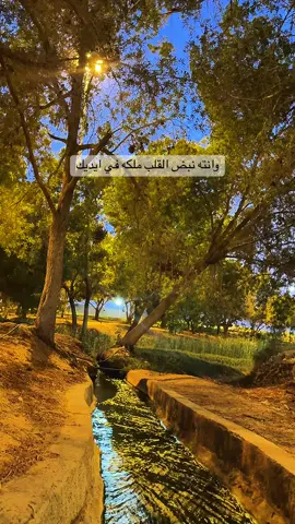 عيضة المنهالي ان زعلت _ ميزك ربي من الناس وعطاك .. ميزتن وتخص ذاتك وتعنيك #عيضه_المنهالي #عيضة_المنهالي #عيضة #عيضه #عيضةالمنهالي #foryou #foryourpages #flowers #fly #العين #المبزرة_الخضراء 