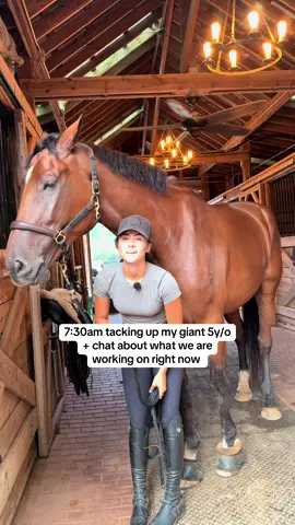 why does he look extra extra large today  #equestrian #horse #foryoupage #horsegirl #viralvideosofficial #horselife #viral #giant4yearold #equestrianlife #fypシ #horsetok #horsesontiktok #fypdongggggggg #horses #fyppppppppppppppppppppppp #fyp #horseshow 