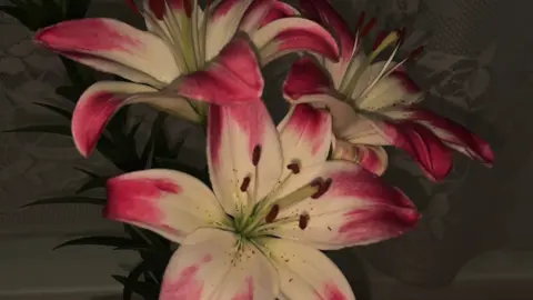 lilies🌺 #flowers #lilies #vibes 