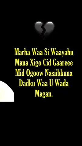 Mar haday kudhafeen maalmihi adkaa waxaad muujisaa farax🤗 #sakariyekobciye #meerto #duni #bilaamusic #fingilaa #foryoupage #xidigahageeska #macaan #somaligalbeed #codkaliya #heesmacaan #codmacaan #vocals #sakariye #kobciye #zakariye #zak #nairobi 