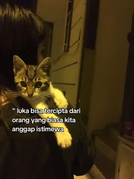 .....  #fyp #story #wildflower 