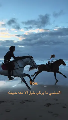 #خيل_وخياله🐎 @عبدالرحمن علي 