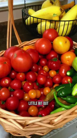 Canning salsa from my garden #canning #garden #canningtiktok #canningandpreserving #eatwhatyougrow #fyppppppppppppppp #gardening #salsa 