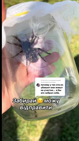 Ответ пользователю @Erken #тараниул 