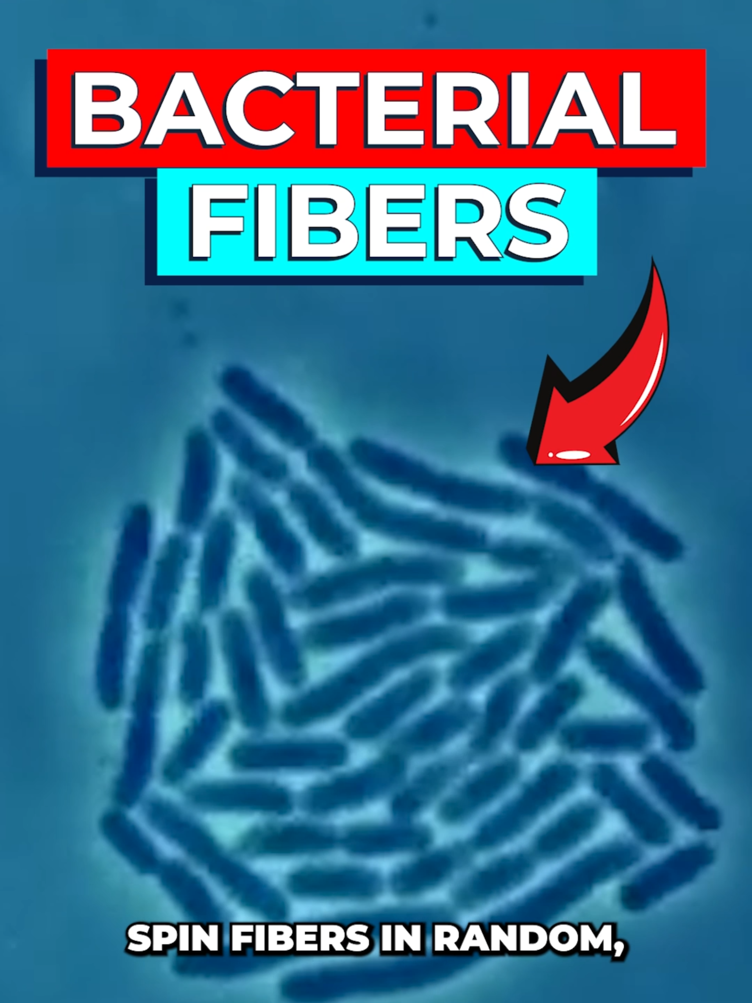 Scientists Create Supermaterial to Replace Plastic Researchers at Rice University and University of Houston used bacteria in a spinning bioreactor to produce a new supermaterial, boosting it's strength by 137%. Biodegradable, stronger than some metals, and a perfect plastic replacement.   Article: https://www.nature.com/articles/s41467-025-60242-1   #bacteria #supermaterial #breakthrough #fyp #foryoupagе