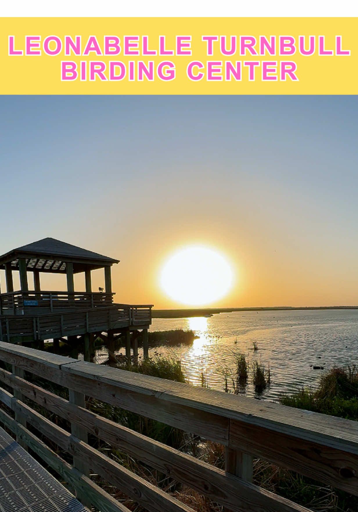 Took a peaceful nature walk at a birding center in Port Aransas 🐦 Coastal views, quiet trails, and so many birds! If you’re into wildlife watching or just need a relaxing escape, this Texas spot might surprise you. Leonabelle Turnbull Birding Center 📍1356 Ross Ave, Port Aransas, TX 78373 #birdingtexas #aransaspass #naturewalks #wildlifewatching #birdwatchinglife #texascoast #birdingadventures #peacefulplaces #coastaltrails #texasgetaway #birdsoftheday #outdoortexas #birdphotography #hiddennature #natureloversclub #gulfcoastlife #birdersofinstagram #ecoexplore #visittexas #birding #portaransas #corpuschristi #corpuschristitexas 