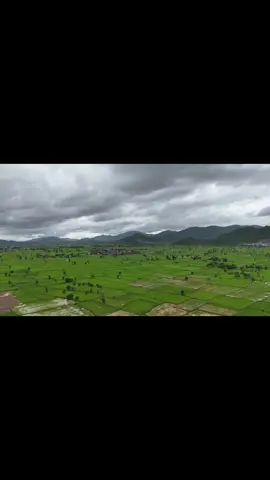 #ទេសភាពស្រុកស្រែ🌄🏜️🌱🌼🌾🐟 #viral 