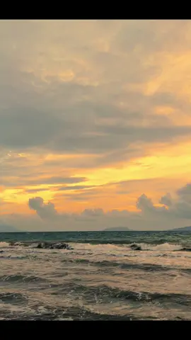 Pesan-pesan hari ini >>