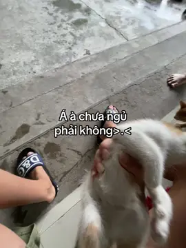 #_hoang_1807🧸 #fyp #tamtrang #ctxkxuhuong #100kfollowers #xuhuongtiktok 