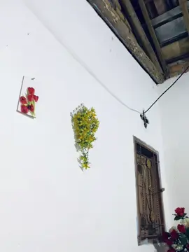 Cover-Pilihan Hatiku #pilihanhatiku #covergitar #gitarcover #fyp #VoiceEffects 