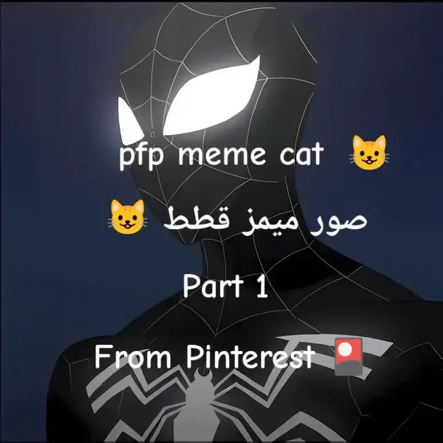 #cats #Memes #Profile #Part #theboys 